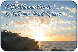 CY O'Connor Beach & Catherine Point Reserve, Fremantle