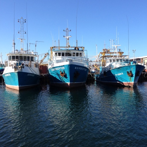 Fishing Boat Harbour, Fremantle, WA