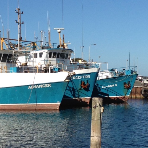 Fishing Boat Harbour, Fremantle, WA