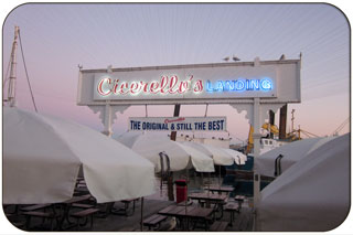 Cicerellos Landing - Fish and Chips at the Fremantle Fishing Boat Harbour