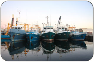 Cicerellos Landing - Fish and Chips at the Fremantle Fishing Boat Harbour