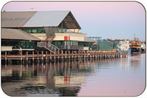 Fremantle Fishing Boat Harbour