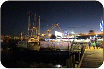 Fremantle Fishing Boat Harbour