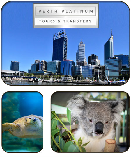 Perth Platinum Tours Fremantle Accommodation
