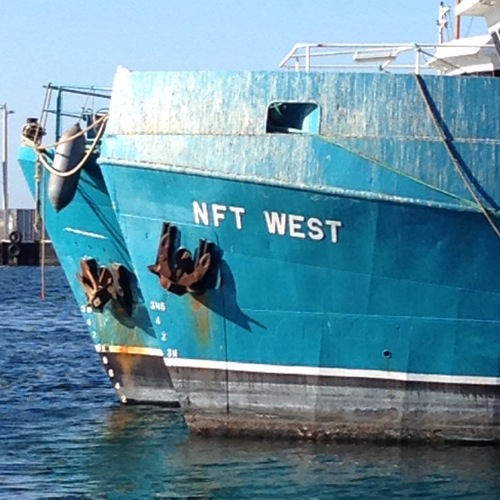 Fishing Boat Harbour, Fremantle, WA