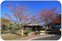 East Fremantle Town Hall