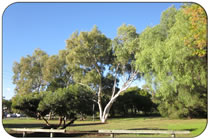 East Fremantle Parks