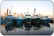 Fremantle Fishing Boat Harbour